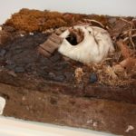 MelanieVote: Refuge in Ruins (2009), maquette made of dirt, plaster, sculpy, other found materials 8x24x36 in.