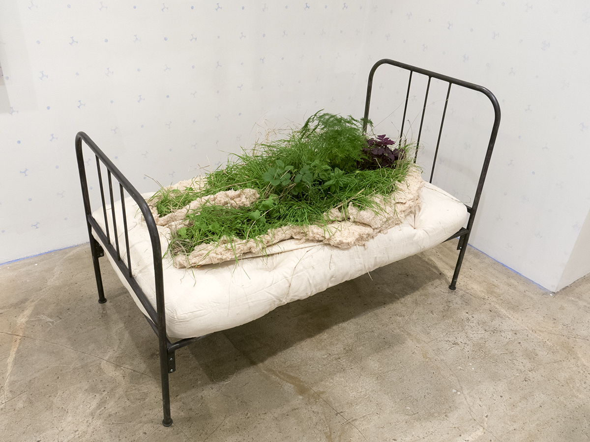 Melanie Vote sculpture part of show Overgrowth at Hionas Gallery New York City Growning Bed (2016) metal cotton and live plants 60 x 33 x 42 inch