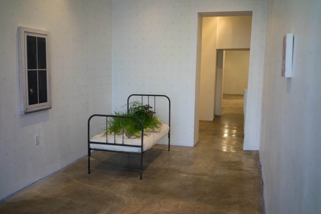 Installation Installation View #1 of Overgrowth at Hionas Gallery