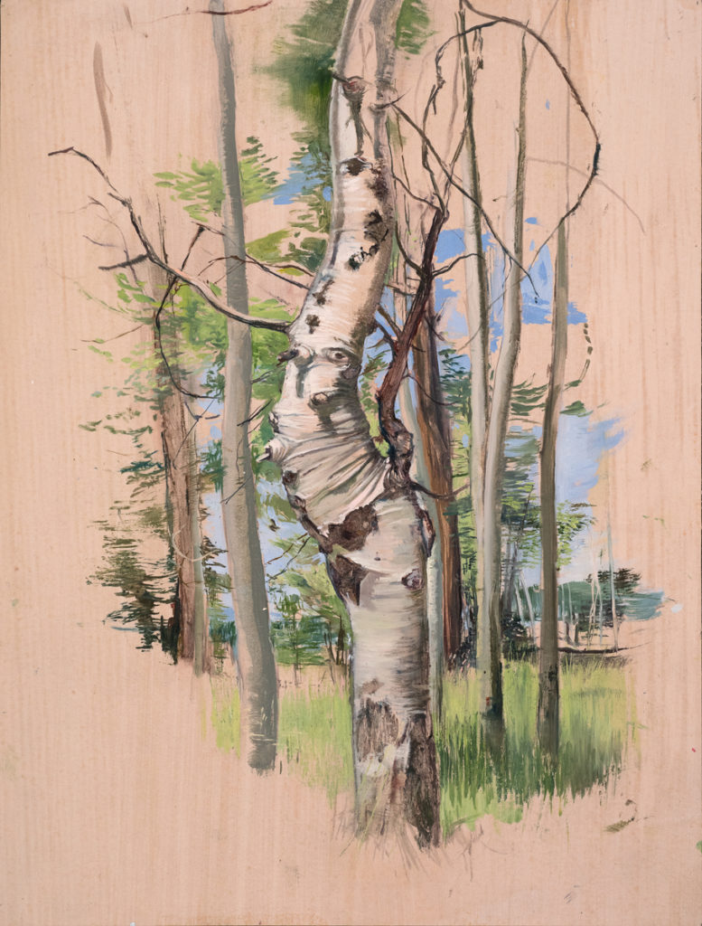 Oil Sketch, created on the North Rim of the Grand Canyon