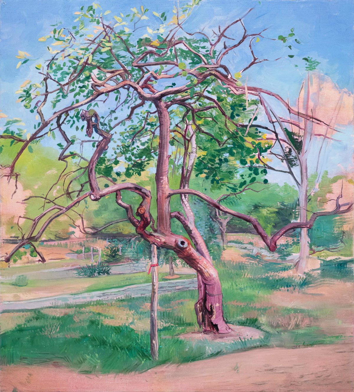 a painting by melanie vote representing a leaning apple tree supported by a wooden stick on the left