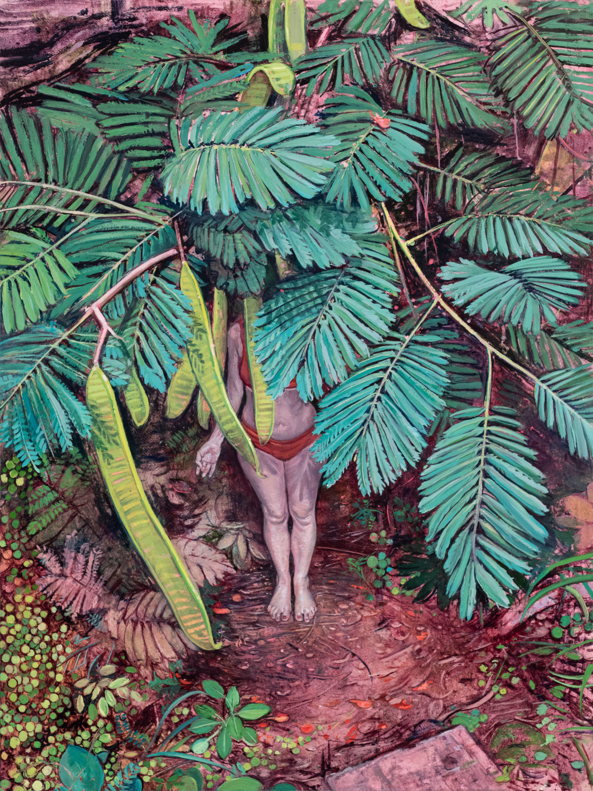 a painting by melanie vote representing a flamboyan tree in which hides a woman wearing a red bating suit